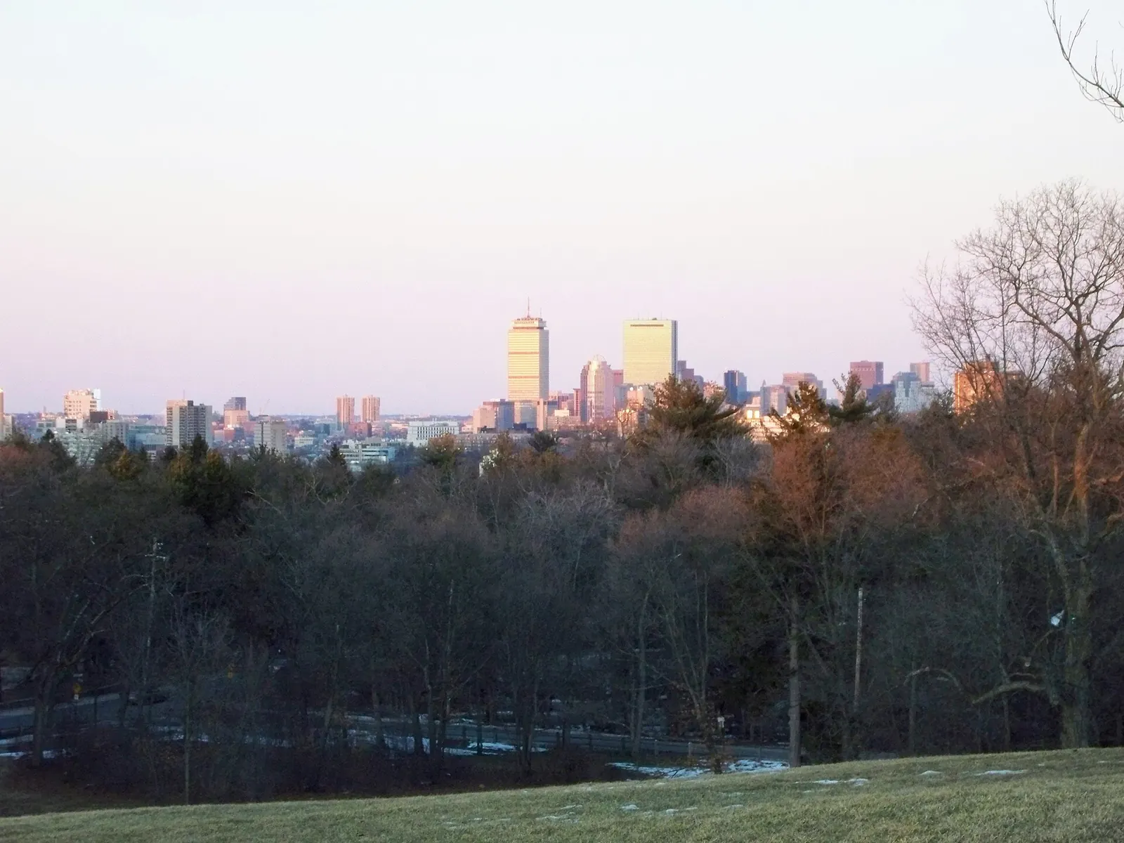 Boston Skyline Larz Anderson Park — Boston