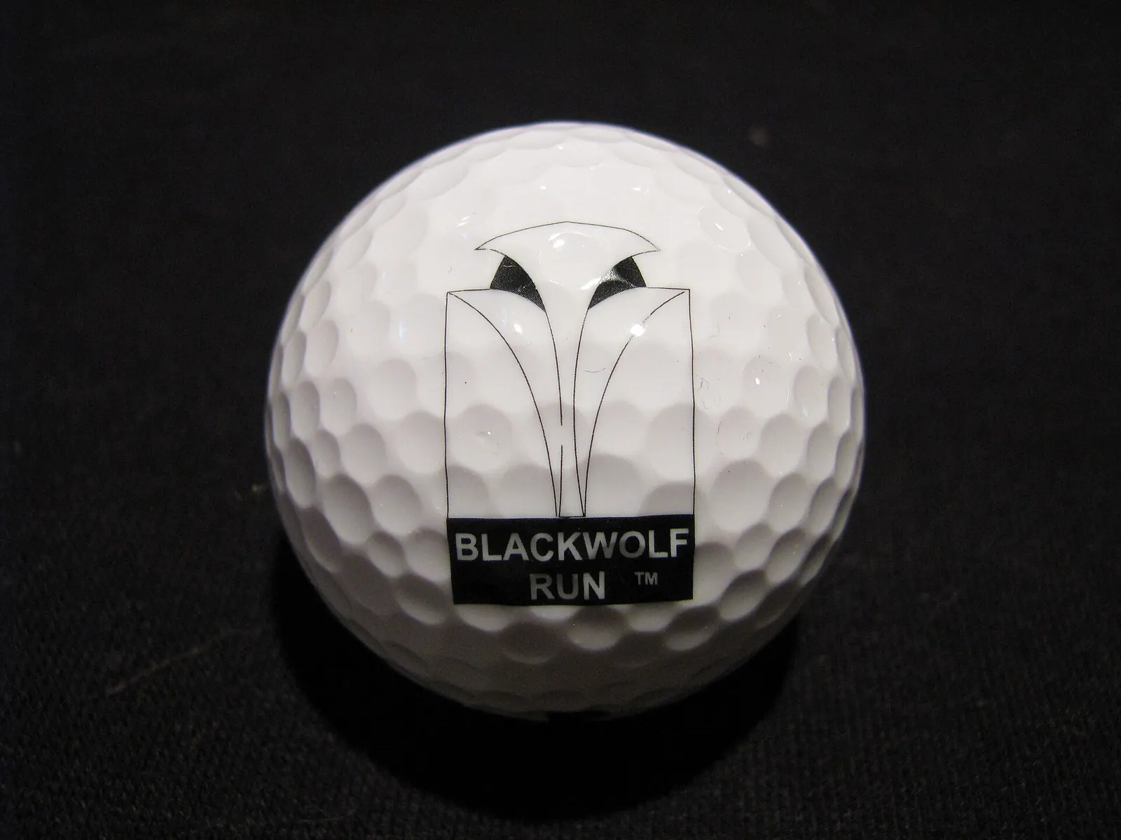 Blackwolf Run, Kohler, Wisconsin (2575142071) — Blackwolf Run