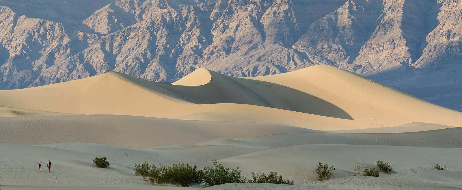 Death Valley Mesquite Flats Sand Dunes 2013 — Death Valley National Park