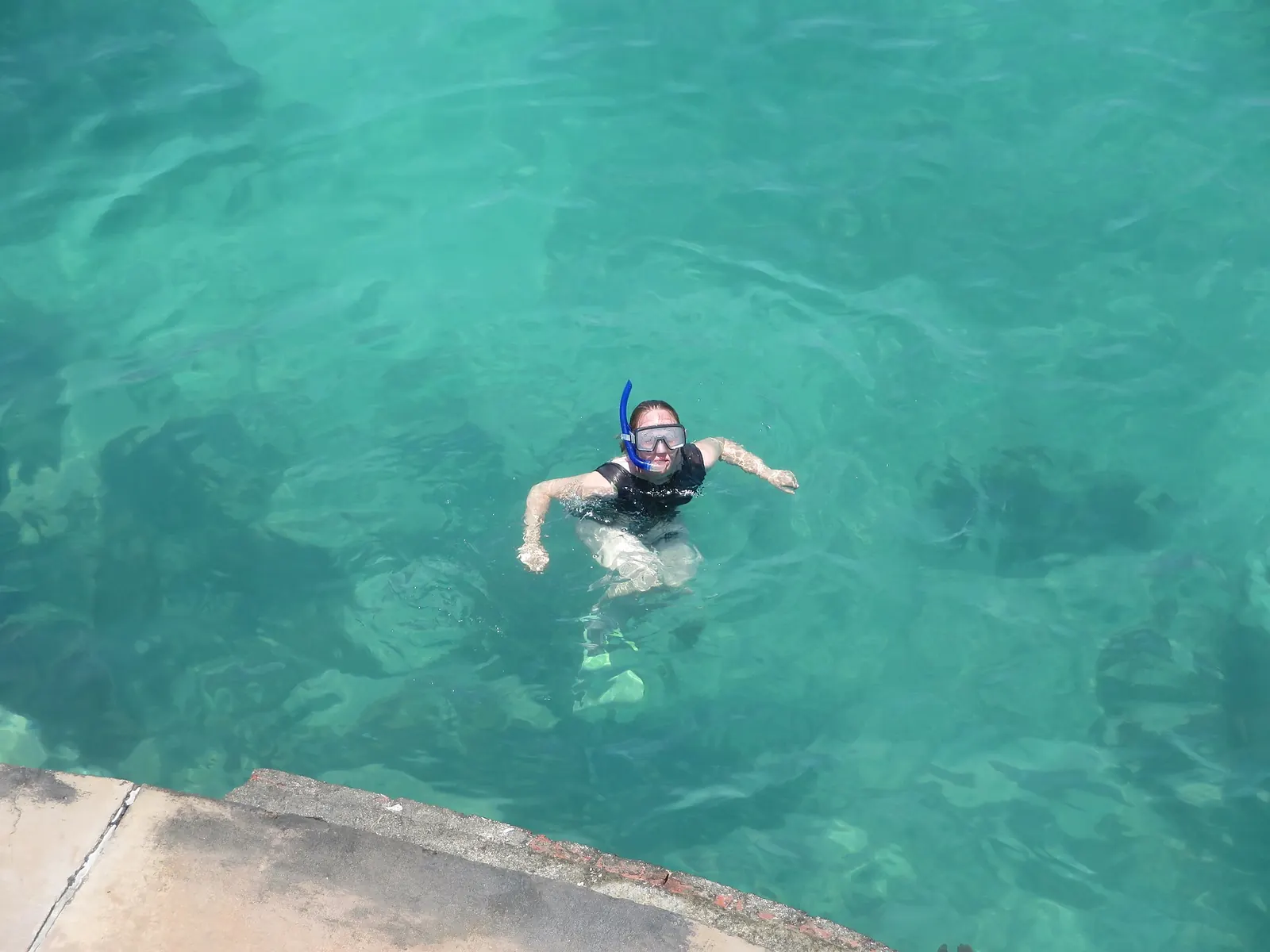 Alicia, Fort Jefferson, Dry Tortugas National Park, Florida (51136569671) — Dry Tortugas National Park
