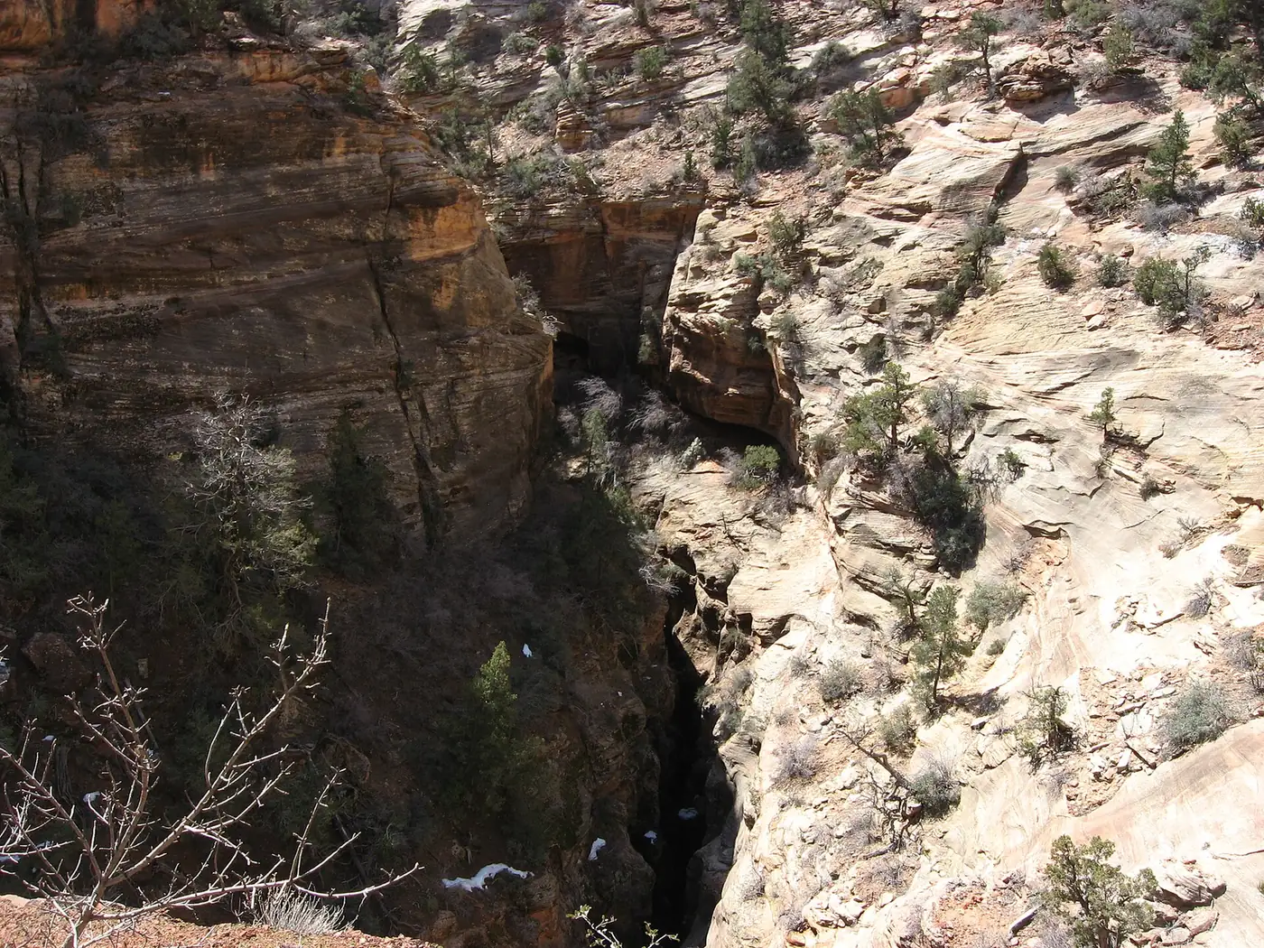 Canyon Overlook Trail, Zion National Park (5521122167) — Zion National Park