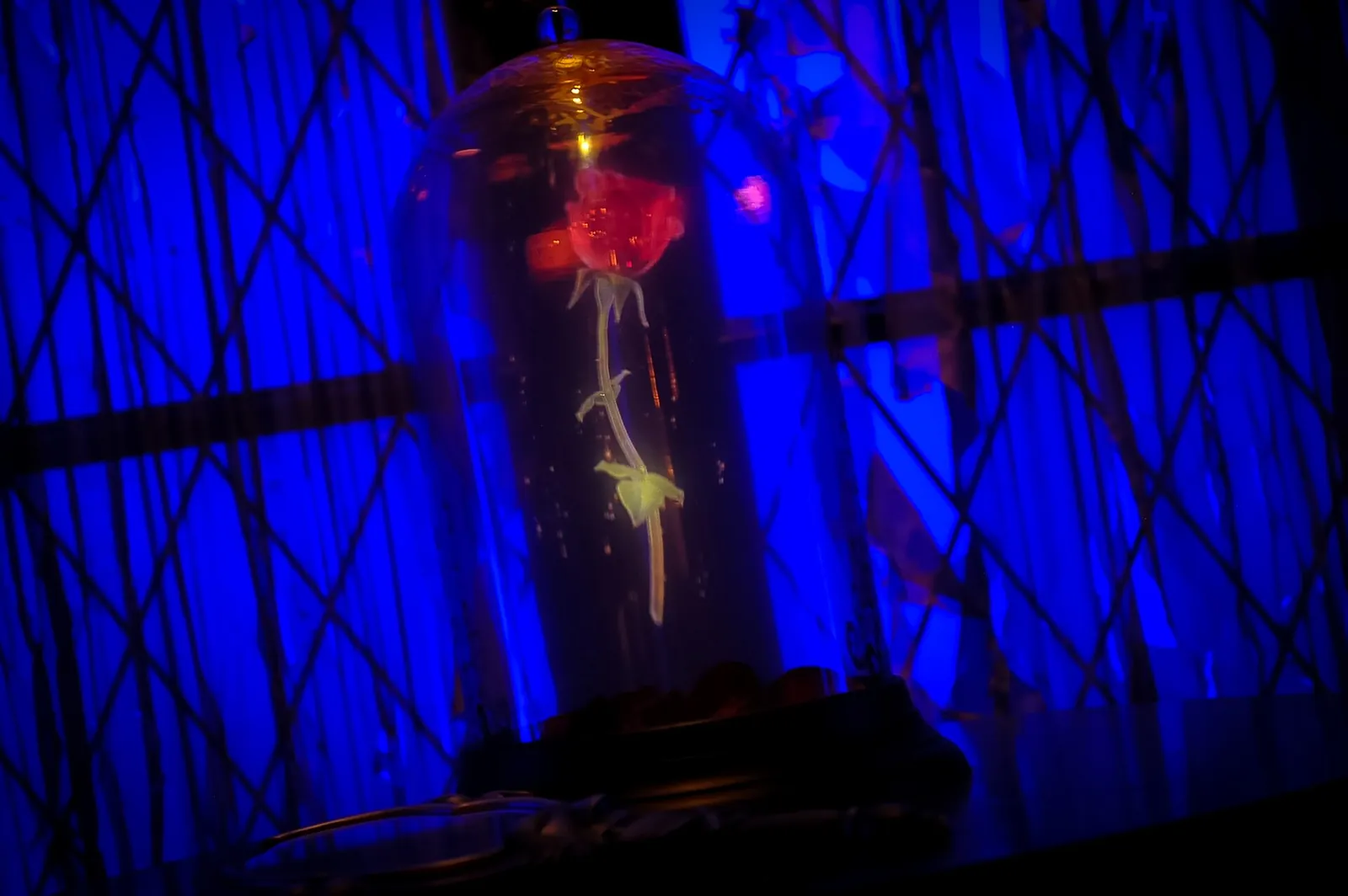 The enchanted rose under glass inside Be Our Guest Restaurant at Magic Kingdom
