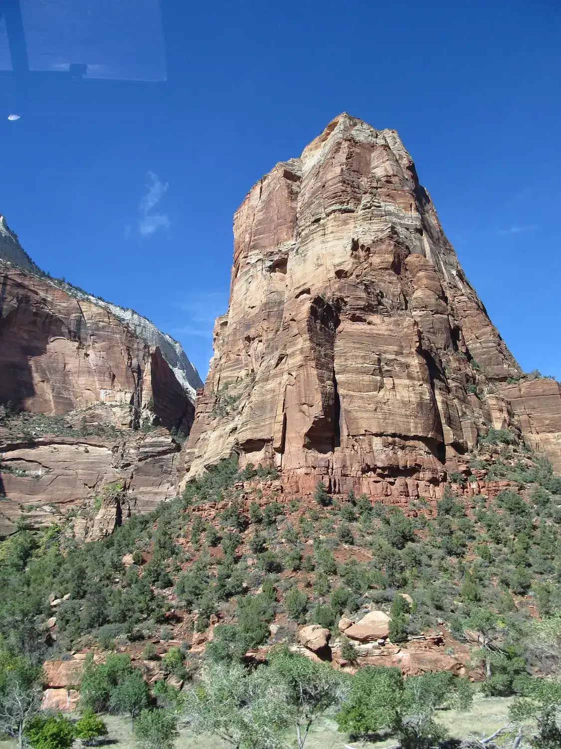 The Angels Landing fin rising above the canyon floor, Zion National Park